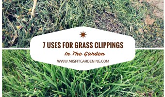 How to use grass clippings in the garden