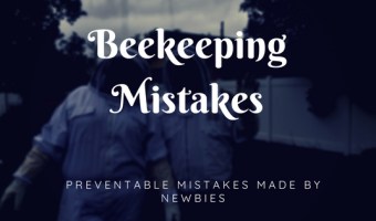 Beekeeping Mistakes