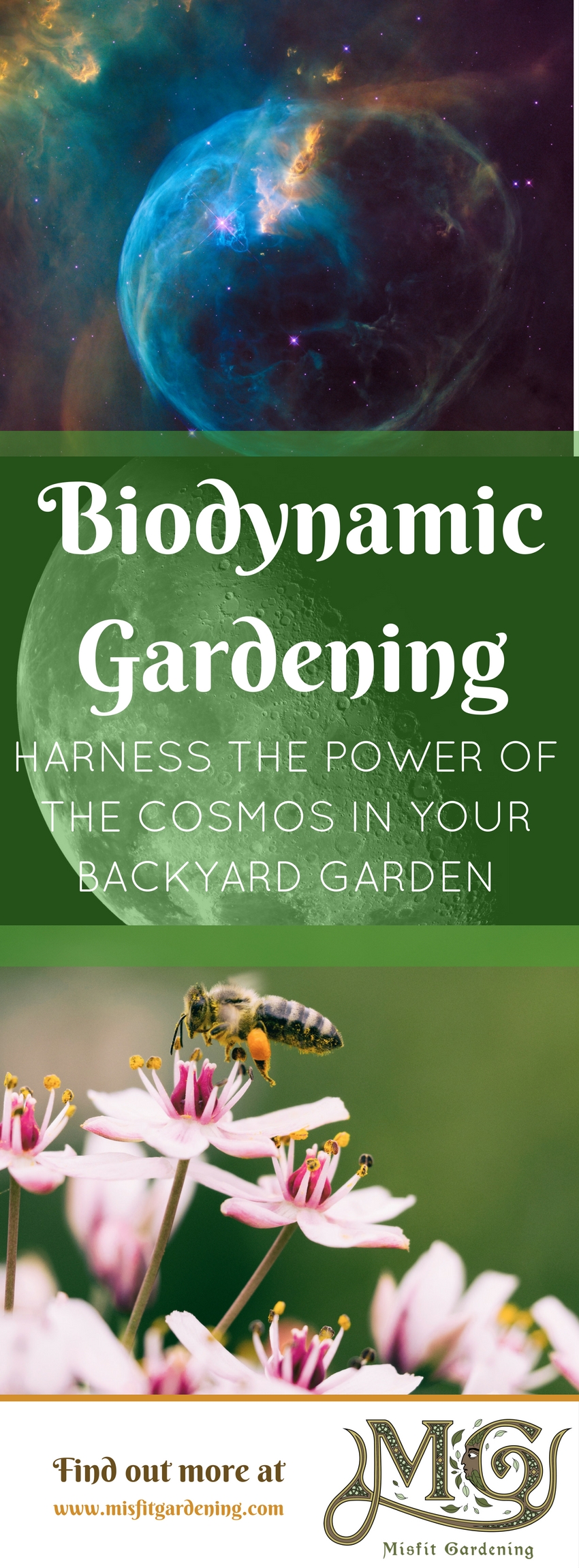 Biodynamic farming is on the rise in the USA. Click to find out how I'm going to garden biodynamically on my homestead or pin it for later