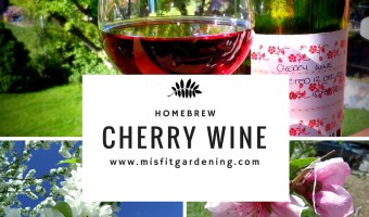 Home brew cherry wine recipe