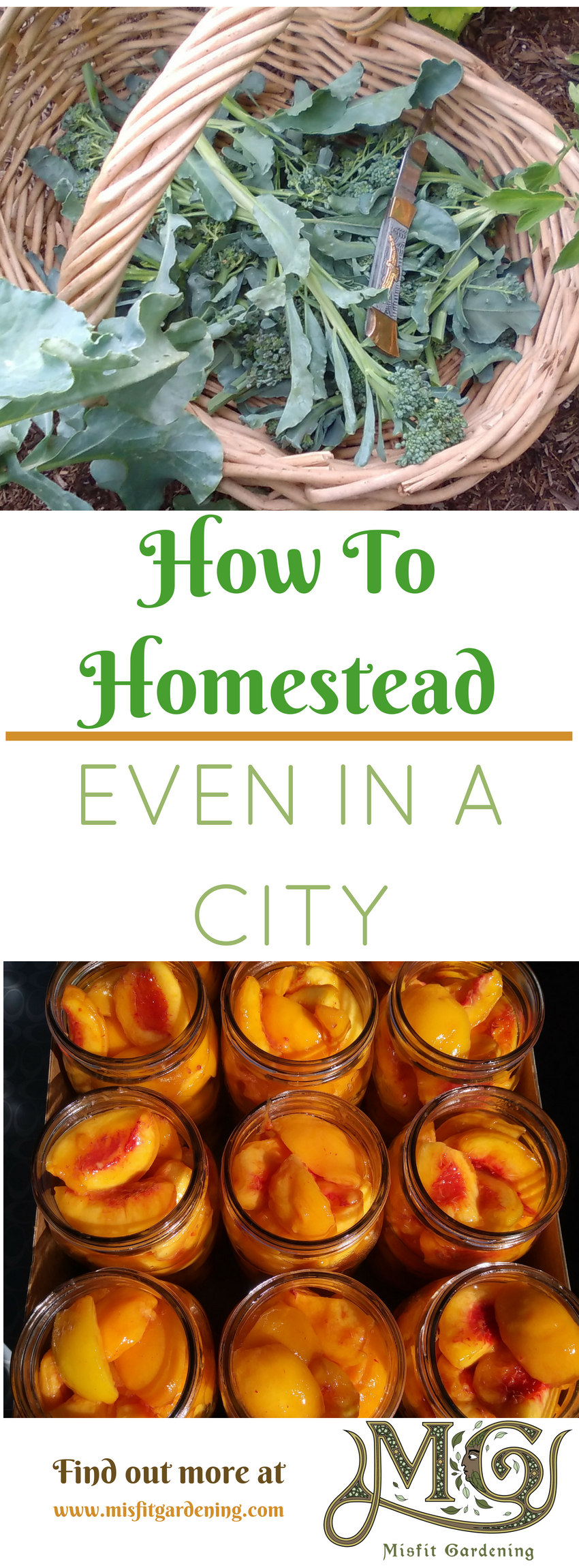 Click to find out what #homestead skills you can learn even in a city or pin it and save for later