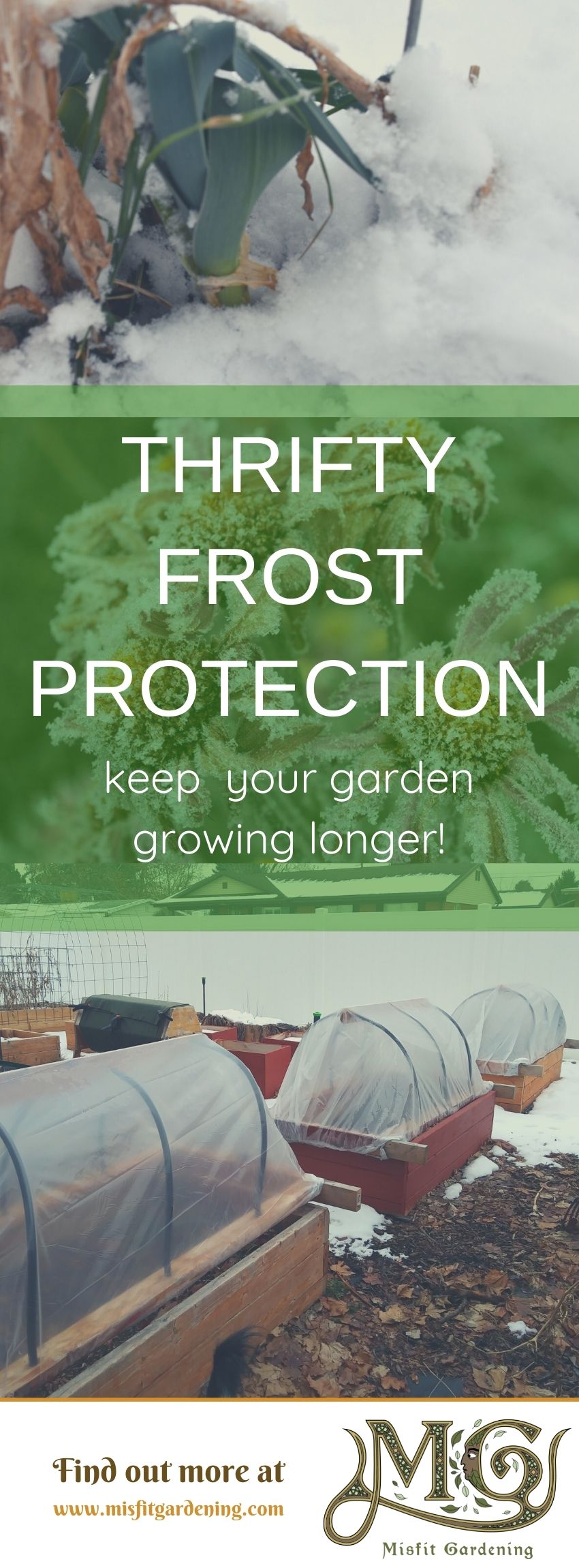 Click to learn about frost protection methods or pin it and save for later #homestead #gardening