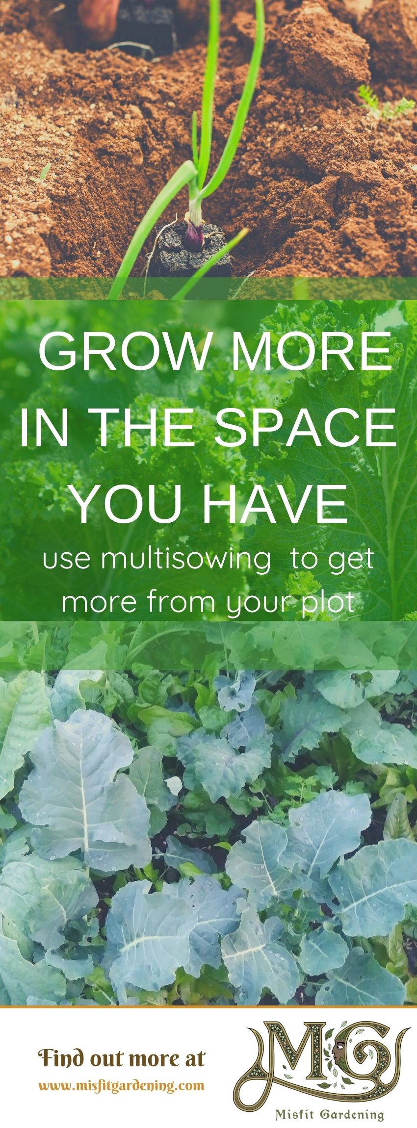 Click to learn about multisowing or pin it and save for later #homestead #gardening