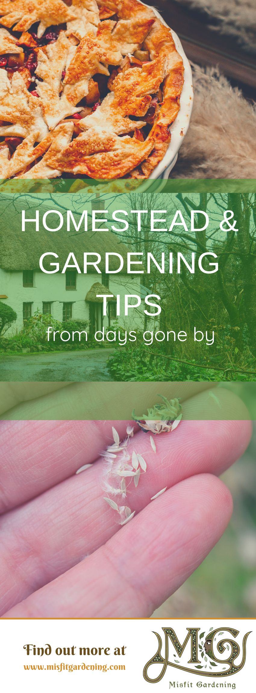 Click to learn about old time gardening and homesteading tips or pin it and save for later #homestead #gardening