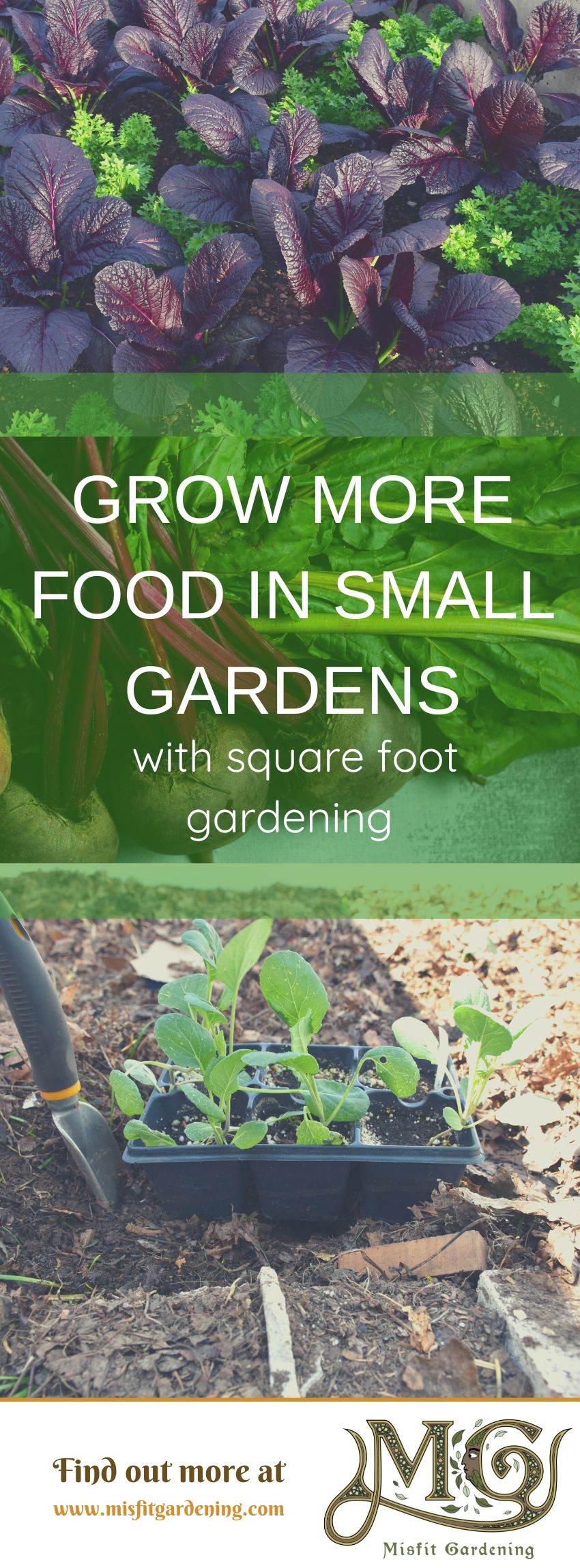 Click to learn about square foot gardening or pin it and save for later #homestead #gardening