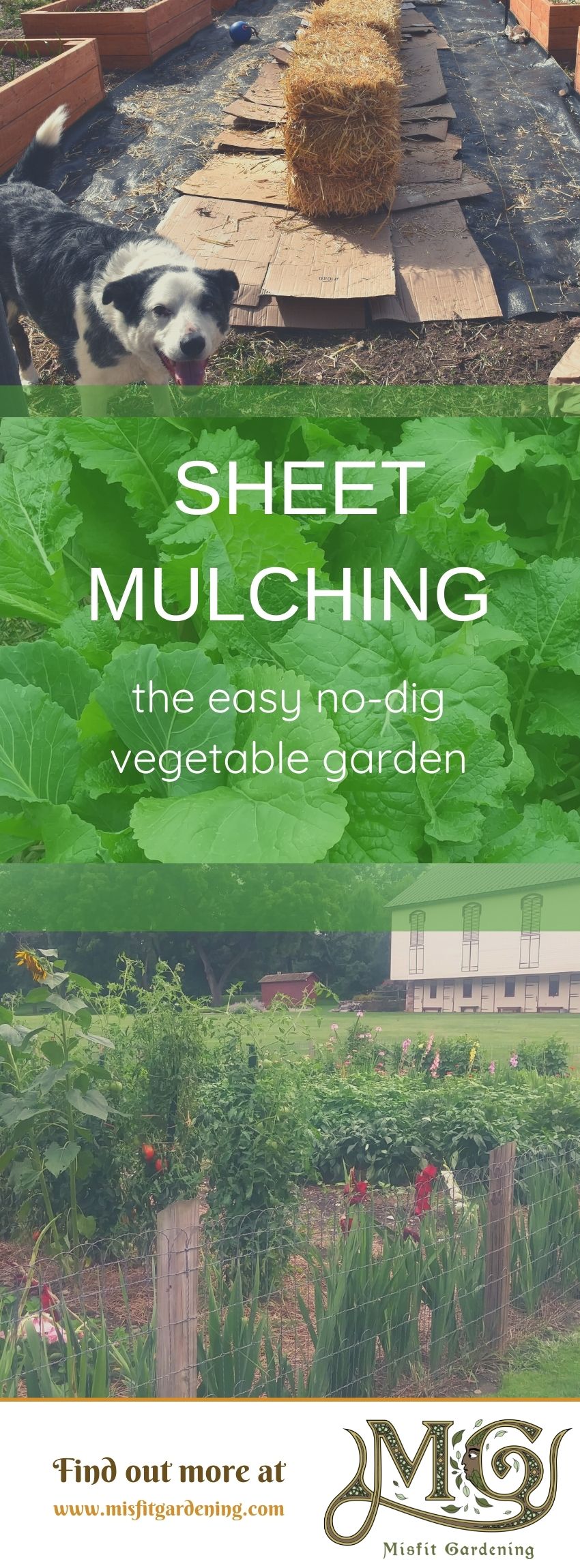 Click to learn about starting a sheet mulch garden or pin it and save for later #homestead #gardening