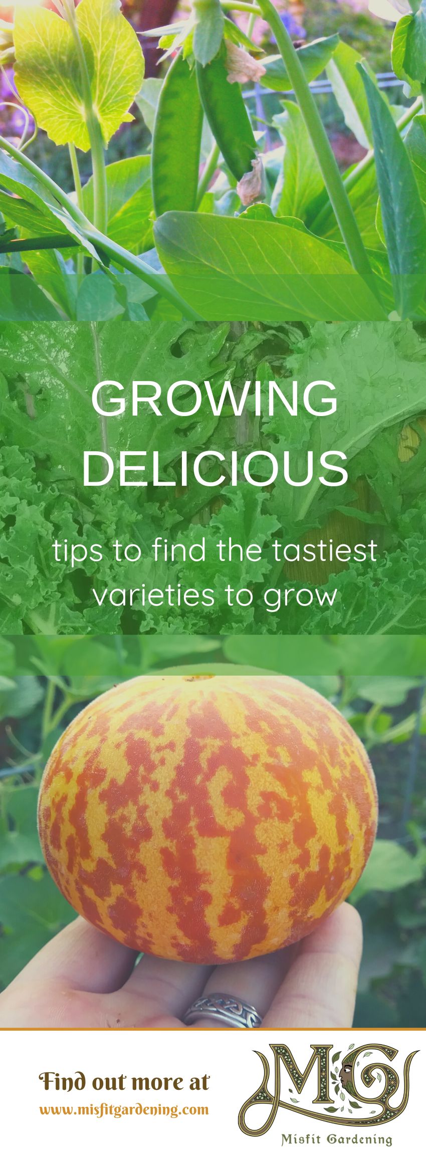 Click to learn how find tasty varieties to grow or pin it and save for later #homestead #gardening