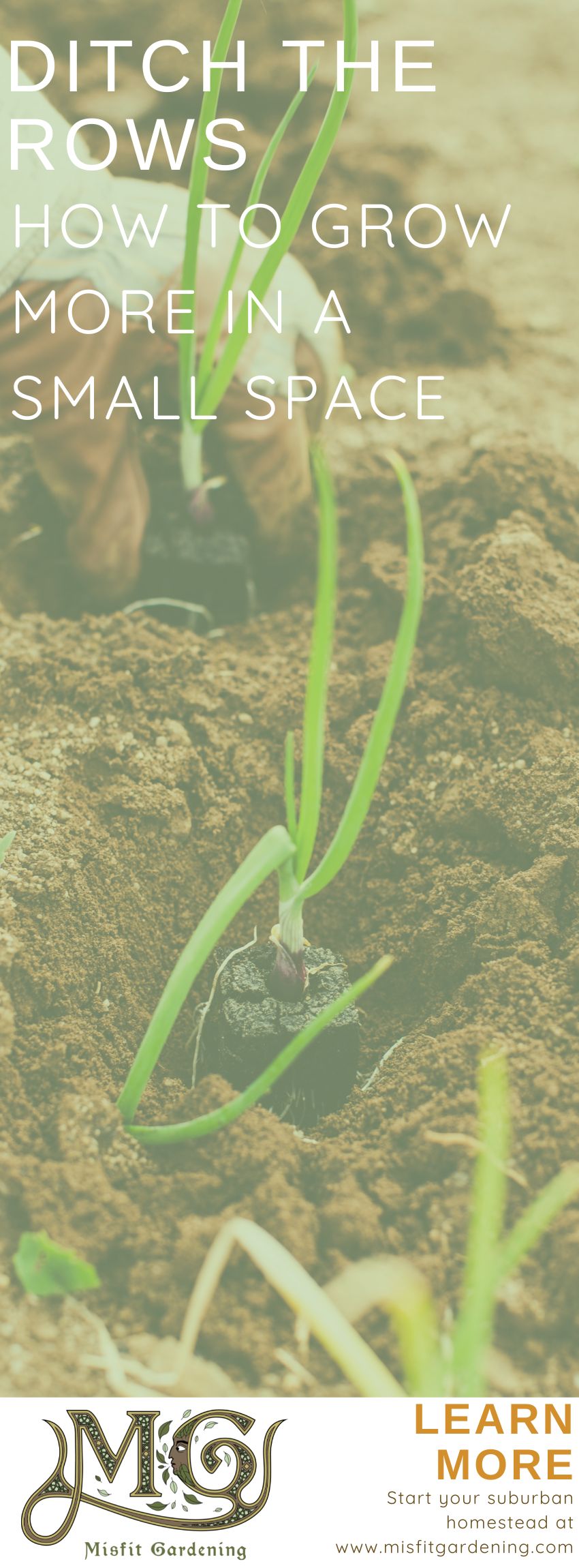 Click to learn how to grow more food in a small space or pin it for later #homesteading #gardening