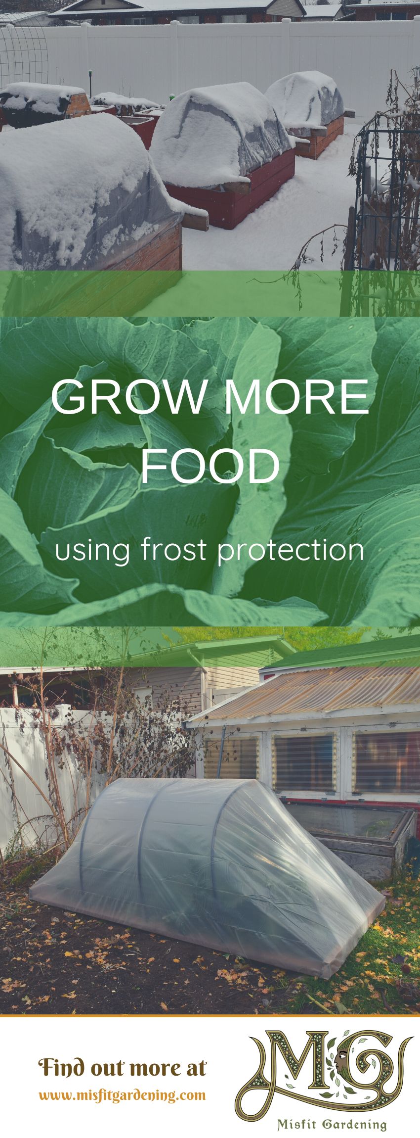 Click to learn how to protect plants from frosts or pin it and save for later #homestead #gardening