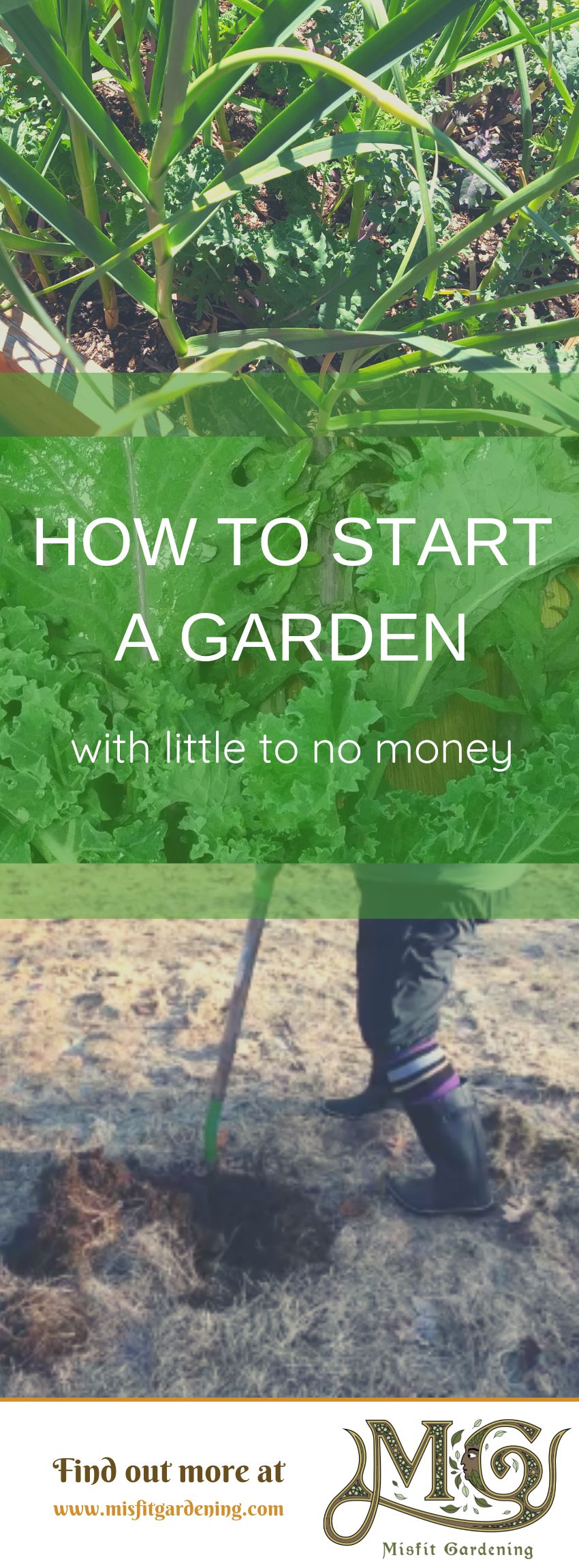 Click to learn how to start a garden with no money or pin it and save for later #homestead #gardening