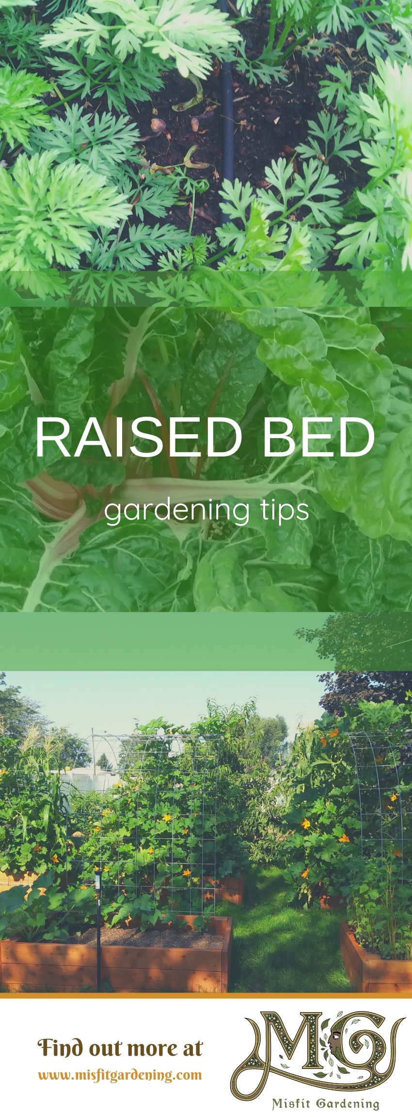 Click to learn more about raised bed gardening or pin it and save for later. #garden #homestead