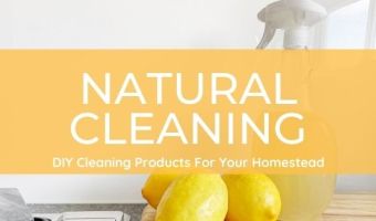 DIY Cleaning Products For Your Homestead