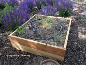 how mto grow more food in small garden