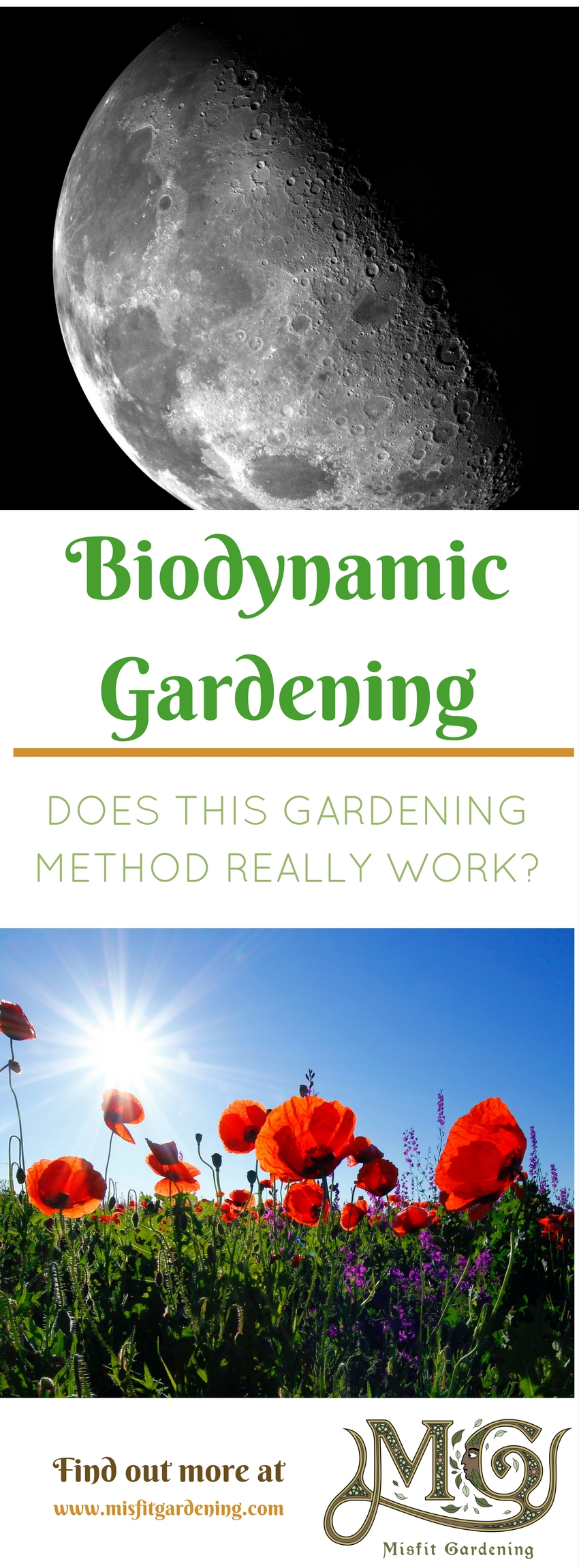 Does biodynamic gardening really work_ Click to find out how I'm going to trial biodynamics on my homestead or pin it and save for later