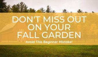 Don't Miss Out On Your Fall Garden