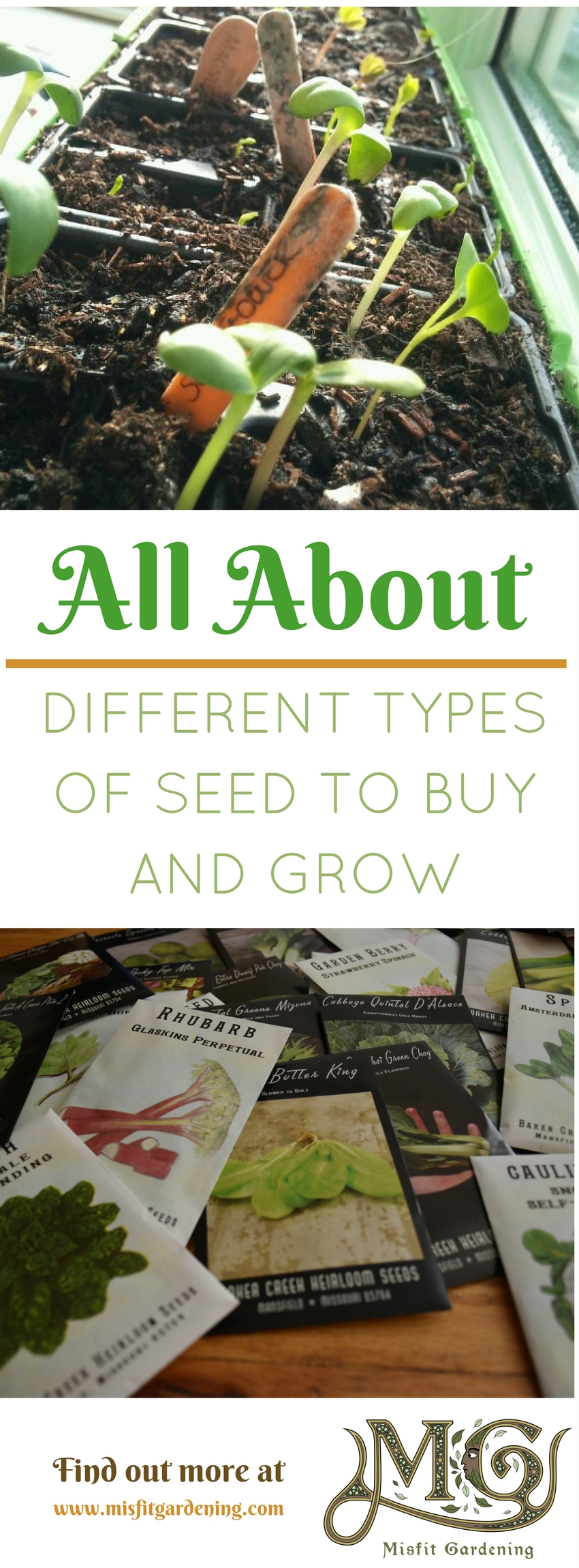 Find out about different types of seed to grow and make informed seed purchases. Click to find out about heirloom, hybrid and open pollinated seeds or pin it for later