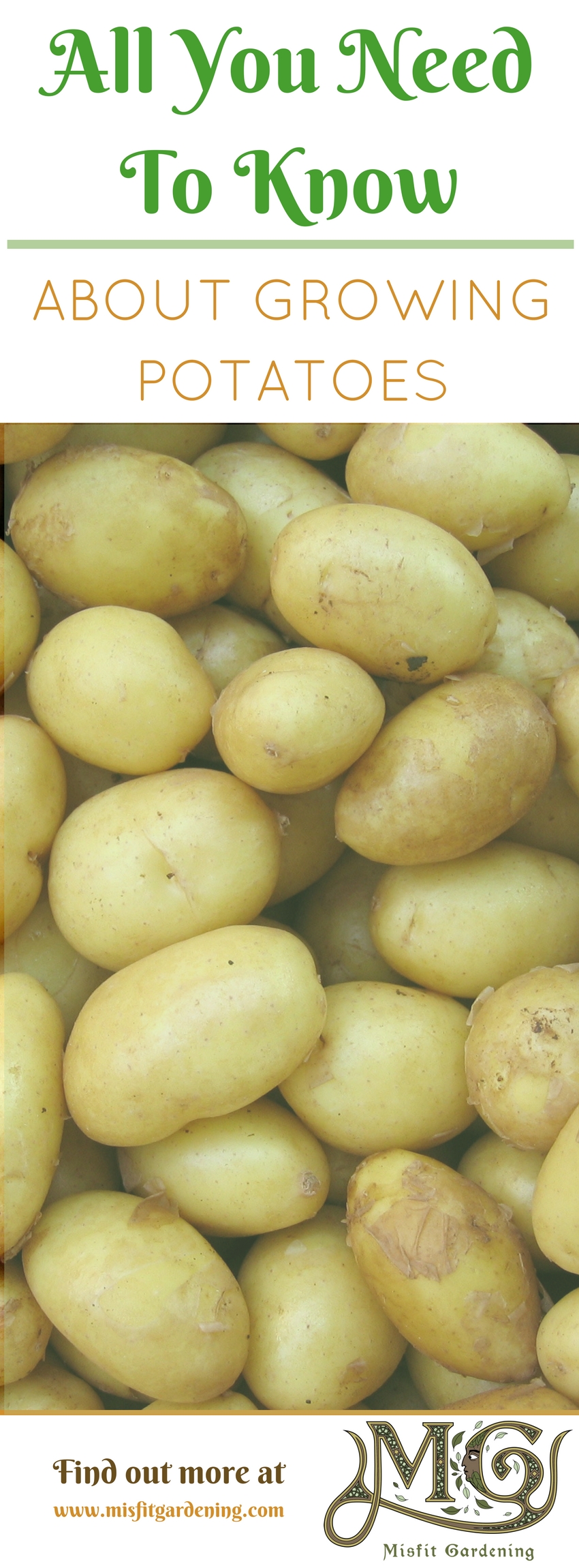 Find out all you need to know about growing potatoes in your own backyard! Click to find out more or pin it and save for later