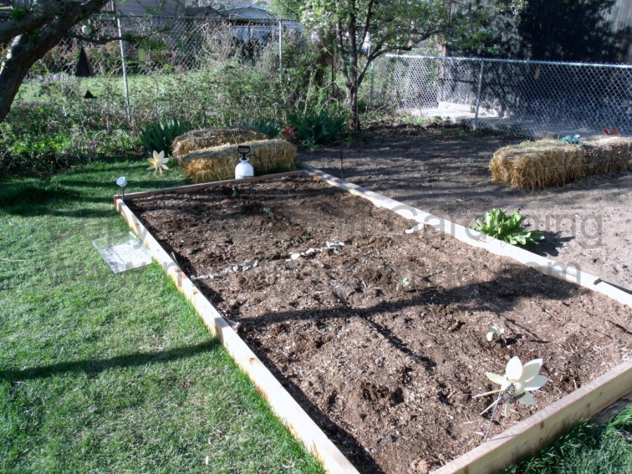 The start of the organic and biodynamic bed