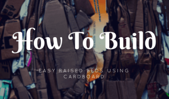 how to build easy raised garden beds using cardboard