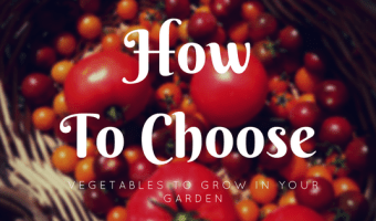 How To Choose Vegetables To Grow In Your Garden