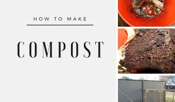 How to make compost organic gardening