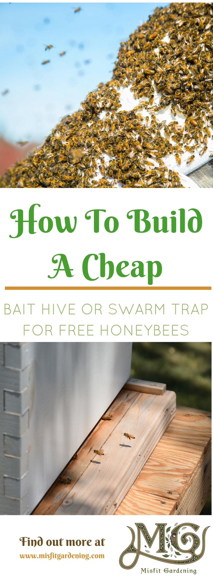 How to build honeybee swarm traps really cheap. Click to find out how to build a bait hive or pin it and save for later