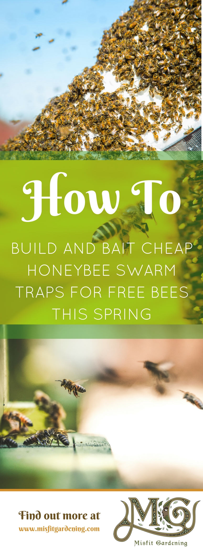 How to cheaply build bee swarm traps. Click to find out how to build and bait a trap for a free honeybee swarm or pin it for later