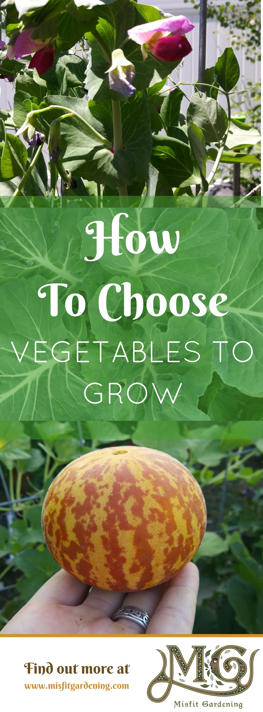 How to choose vegetables to grow in your #vegetablegarden. Click to if you are a #gardening newbie to find out how to choose veggies to grow or pin it for later