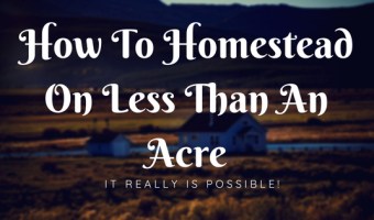 How to homestead on less than an acre