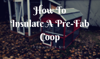 How to insulate a pre-fab chicken coop