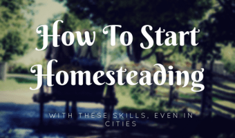 how to start homesteading