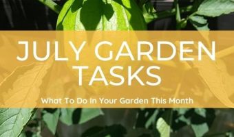 July Gardening Tasks