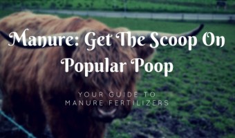 Manure Fertilizers