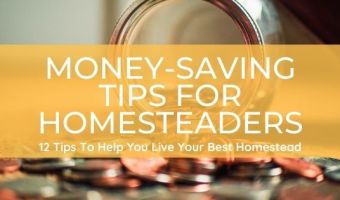 Money Saving Homestead Tips