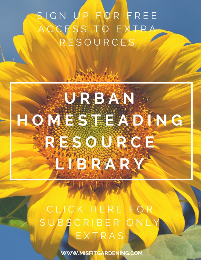 urban homesteading