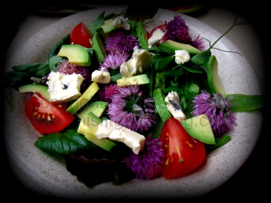 Garden salad leaves with chive flowers