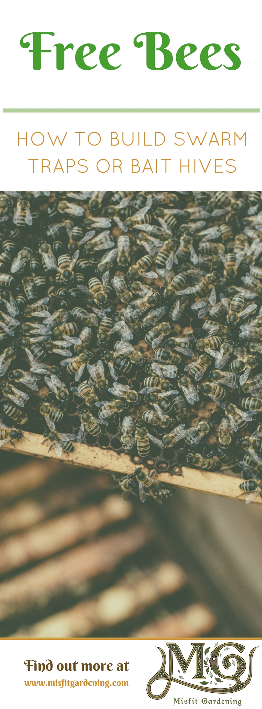 Start #beekeeping this spring with free bees by building a swarm trap. Click to find out how to build a swarm trap or bait hive or pin it and save for later