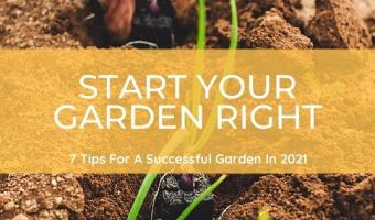 Start your garden right in 2021