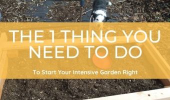 How to start an intensive garden