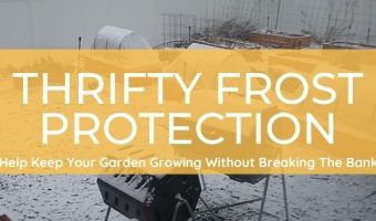 Thrifty frost protection