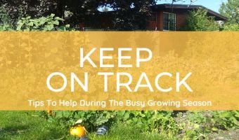 Tips To Keep On Track During The Growing Season