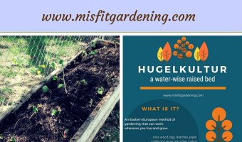 Urban Homesteading Making Raised Hugelkultur Beds