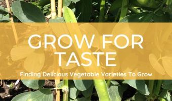 Vegetable Varieties To Try For The Adventurous Cook