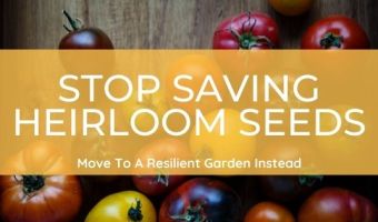 Why You Need To Stop Saving Heirloom Seeds And Move To A More Resilient Garden