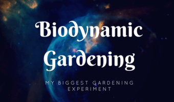 biodynamic gardening biodynamic farming