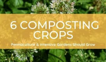 composting crops you should grow