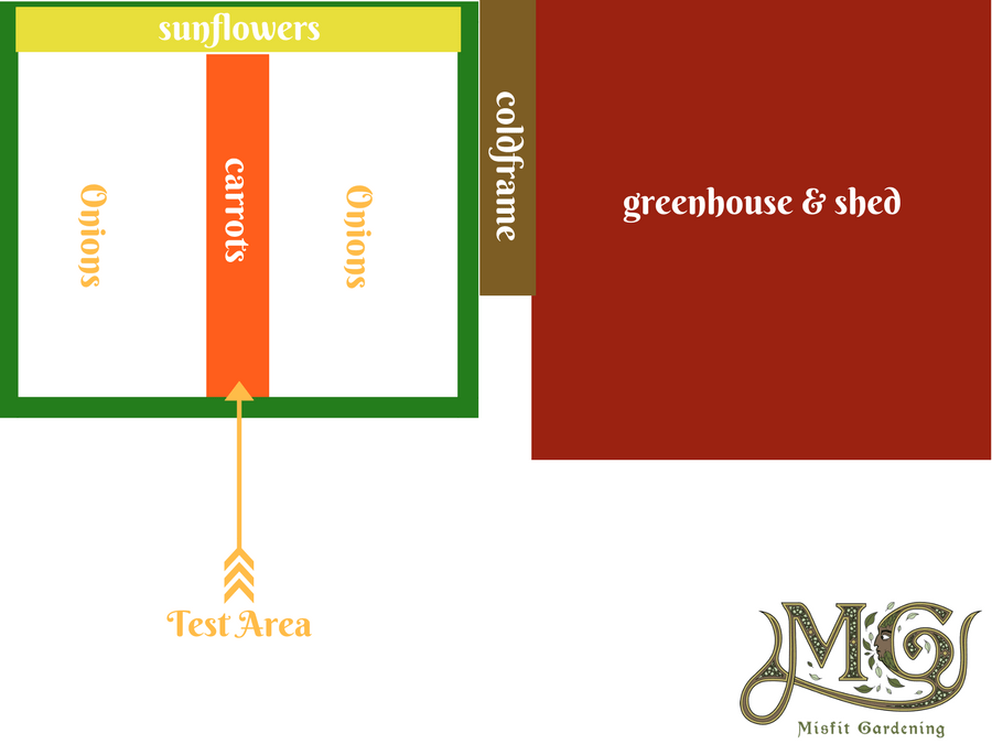 grow biodynamic garden