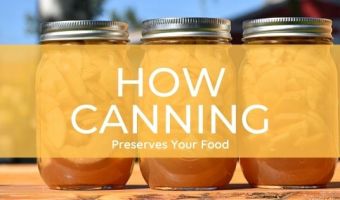 how canning preserves food