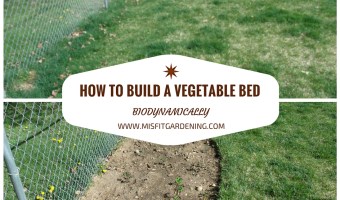 How To Build A Vegetable Bed Biodynamically