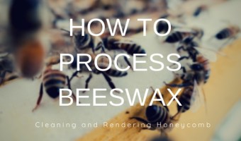 how to clean and render beeswax